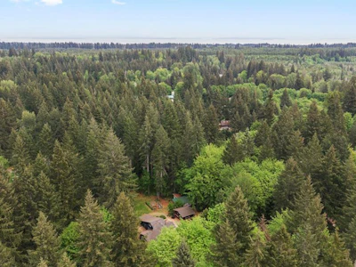 9525 Doyle Road - 5