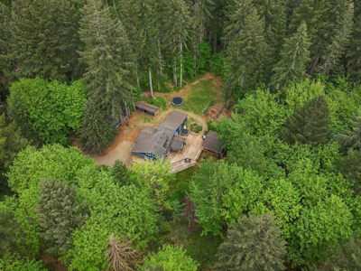 9525 Doyle Road - 2