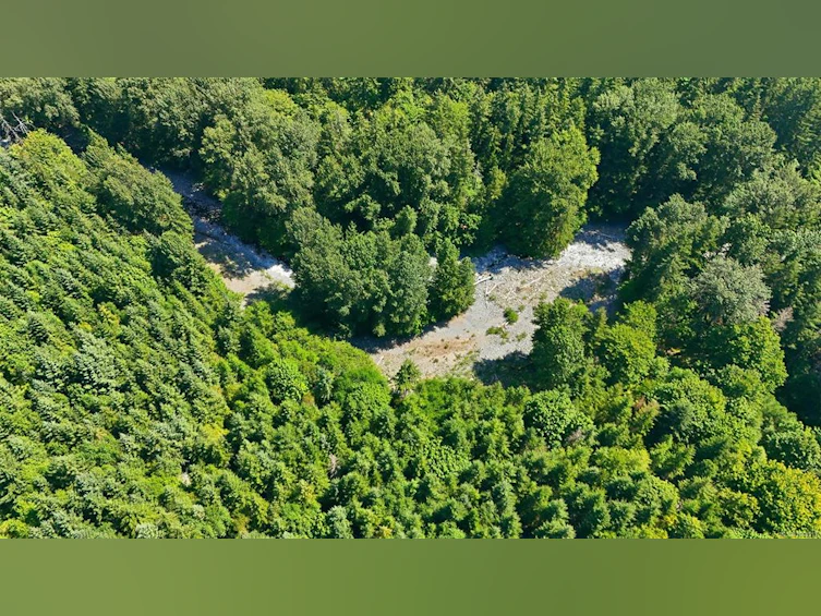 10780 North Shore Road, Youbou, BC, V0R 3E1 - 5