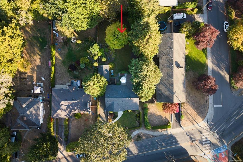 711 Richmond Avenue, Victoria, BC, V8S 3Z2 - 51