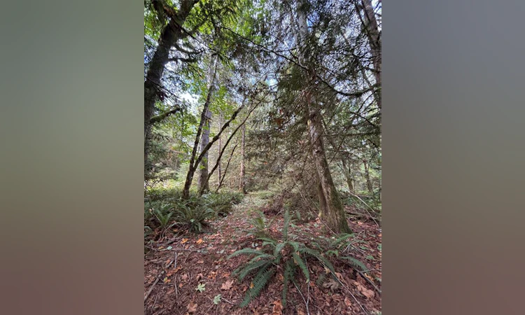 lot 23 Pratt Road