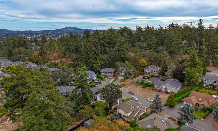 3847 Cardie Court