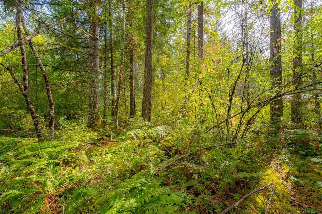 Lot B Fern Road - 4