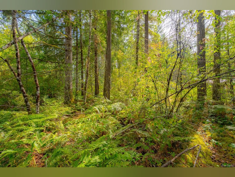 Lot B Fern Road, Port Alberni, BC, V9Y 8W9 - 4