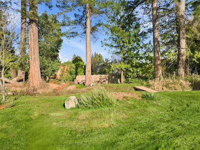 575 Johnstone Road - 2