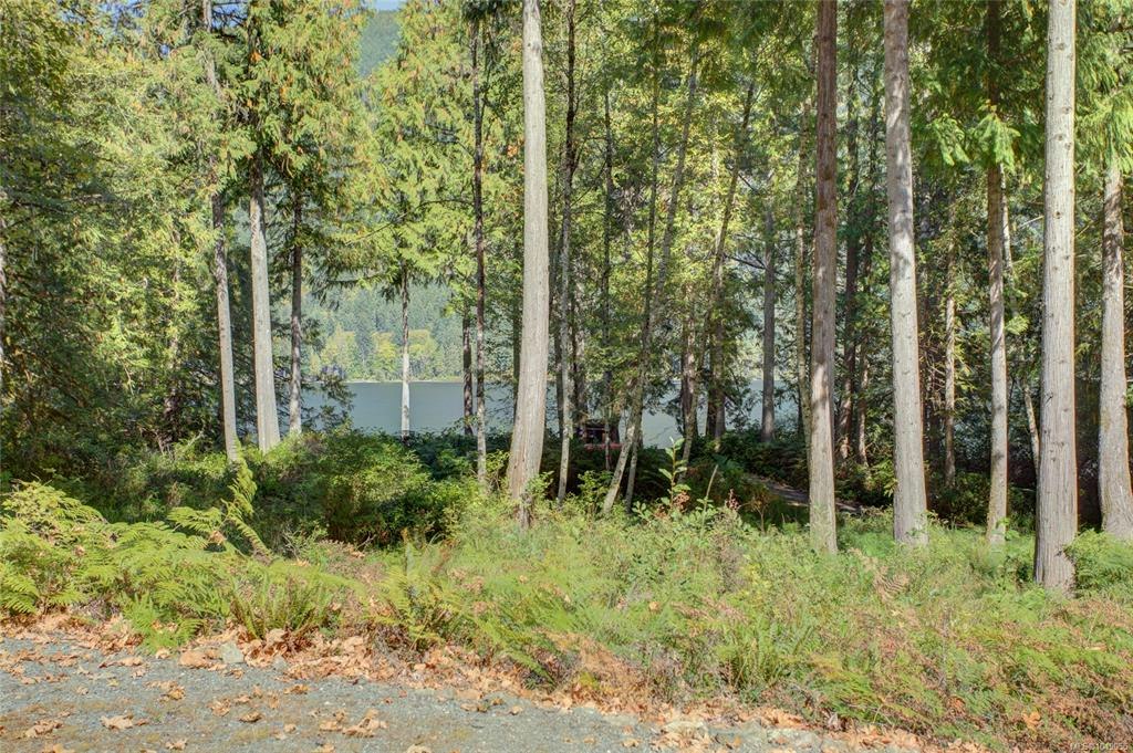 LT 4 Blackwood Heights, Lake Cowichan, BC, V0R 2G0 - 52