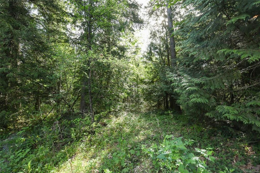 3550 Cumberland Road, Cumberland, BC, V0R 1S0 - 36