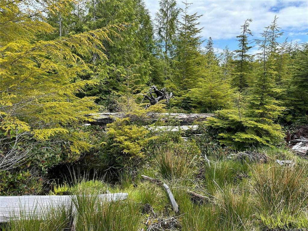 LT 15 Mitchell Bay Road, Sointula, BC, V0N 3E0 - 40