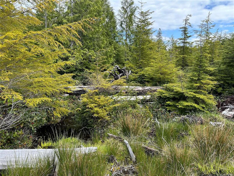 LT 15 Mitchell Bay Road, Sointula, BC, V0N 3E0 - 40