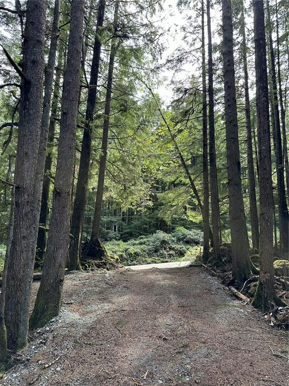 LT 15 Mitchell Bay Road, Sointula, BC, V0N 3E0 - 15