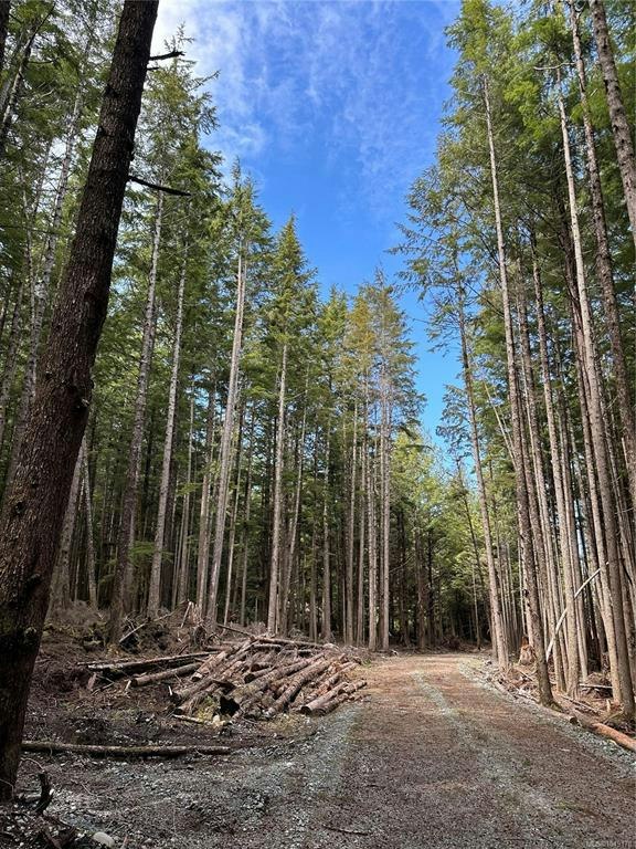LT 15 Mitchell Bay Road, Sointula, BC, V0N 3E0 - 28