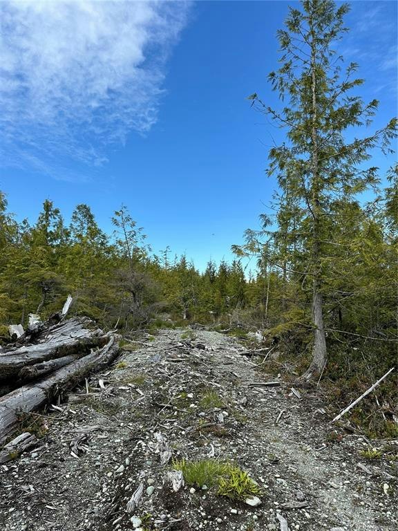 LT 15 Mitchell Bay Road, Sointula, BC, V0N 3E0 - 39