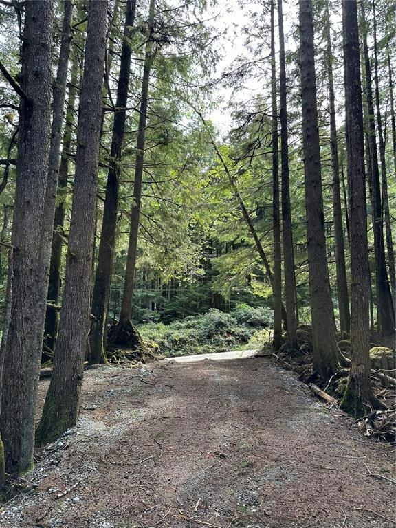 LT 15 Mitchell Bay Road, Sointula, BC, V0N 3E0 - 23