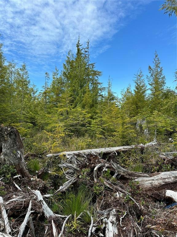 LT 15 Mitchell Bay Road, Sointula, BC, V0N 3E0 - 42