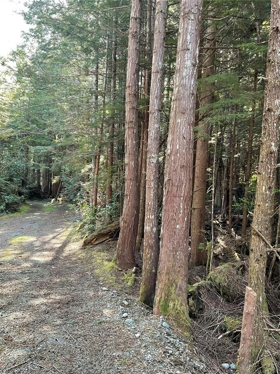 LT 15 Mitchell Bay Road, Sointula, BC, V0N 3E0 - 18