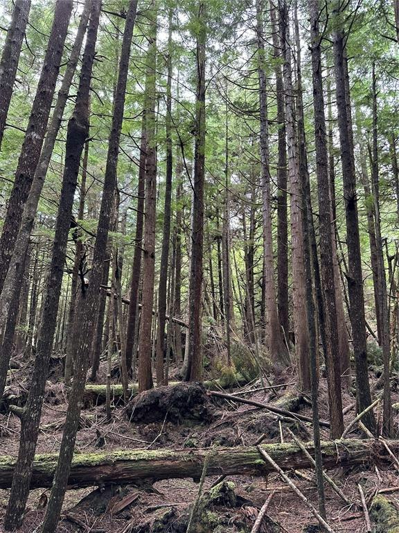 LT 15 Mitchell Bay Road, Sointula, BC, V0N 3E0 - 47