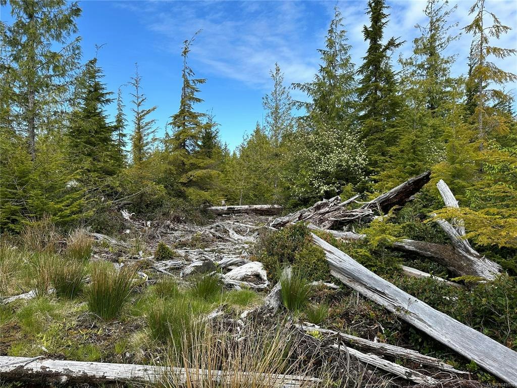 LT 15 Mitchell Bay Road, Sointula, BC, V0N 3E0 - 41