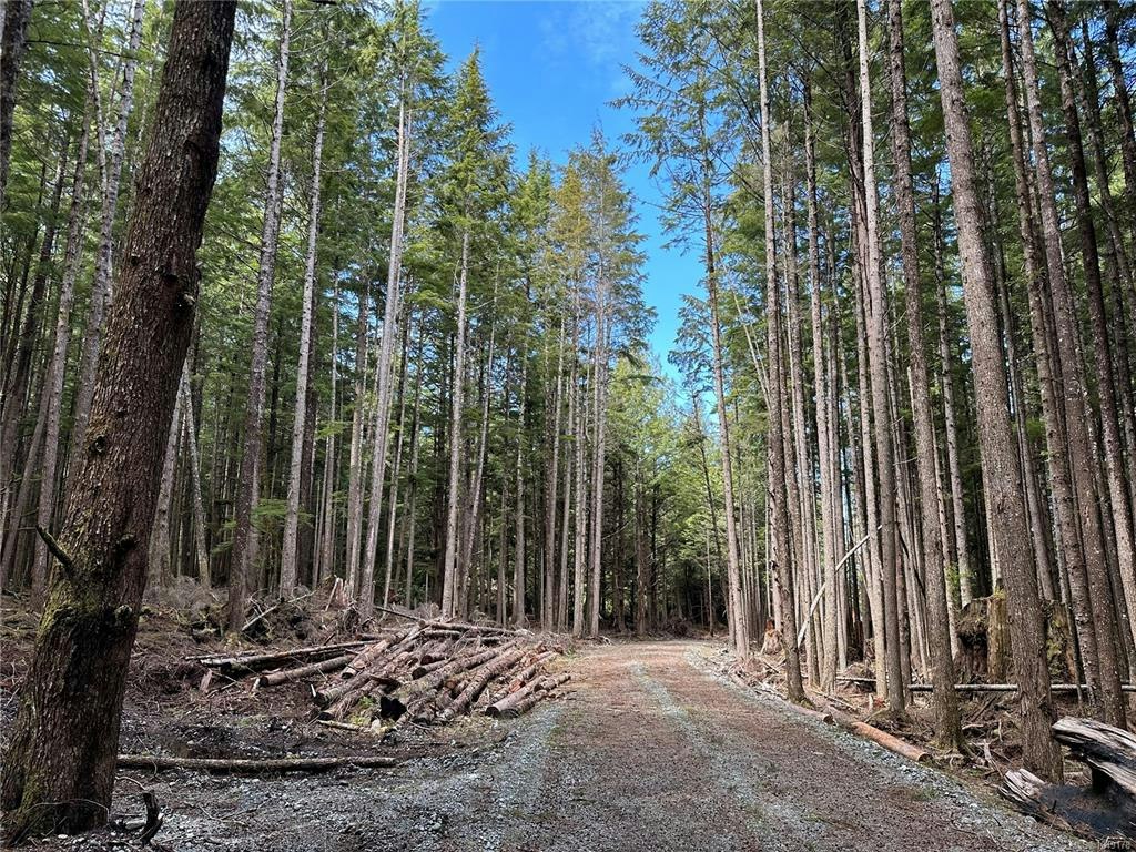 LT 15 Mitchell Bay Road, Sointula, BC, V0N 3E0 - 4