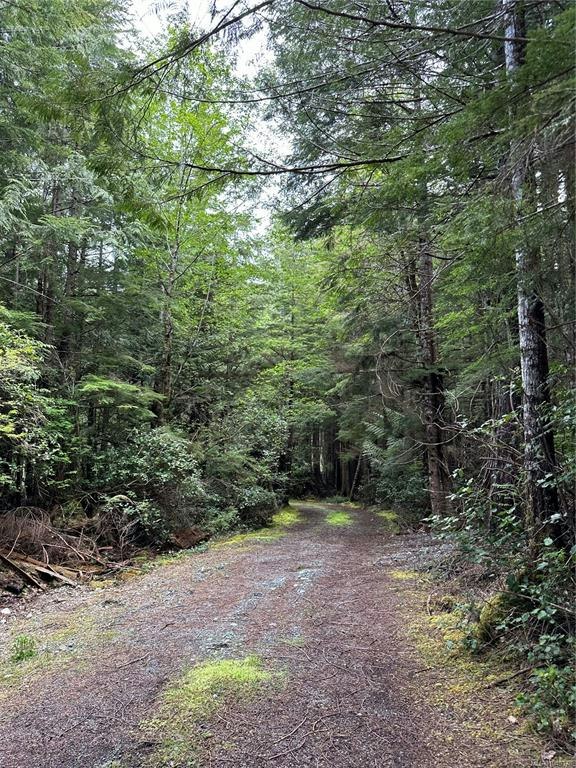 LT 15 Mitchell Bay Road, Sointula, BC, V0N 3E0 - 43