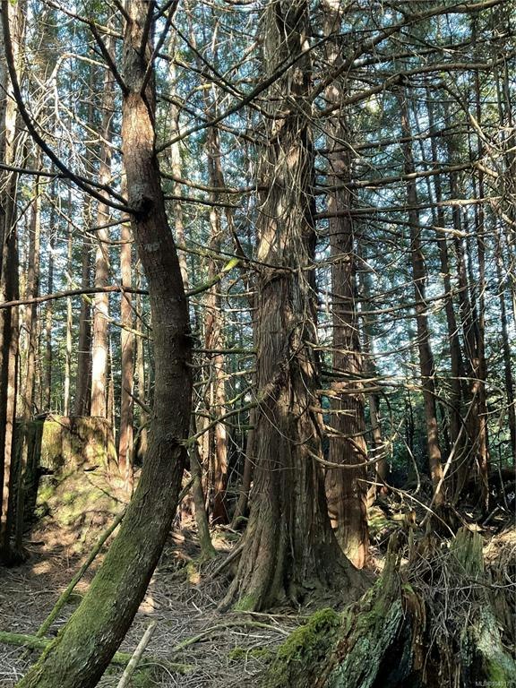 LT 15 Mitchell Bay Road, Sointula, BC, V0N 3E0 - 20