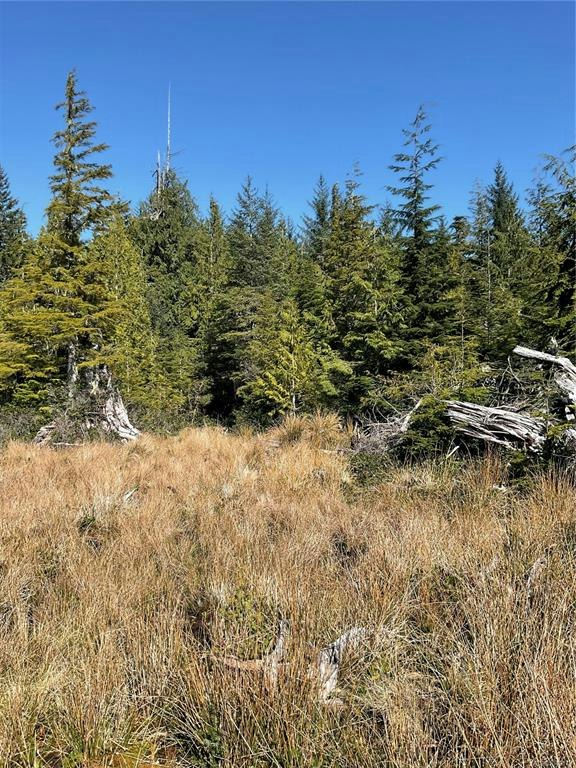 LT 15 Mitchell Bay Road, Sointula, BC, V0N 3E0 - 19