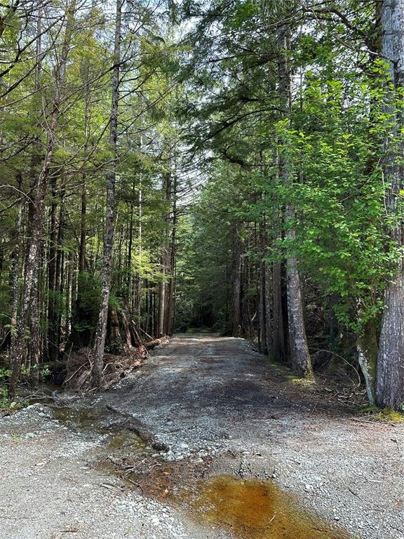 LT 15 Mitchell Bay Road, Sointula, BC, V0N 3E0 - 22