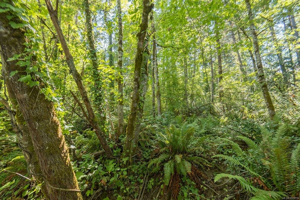 5280 Koksilah Road, Duncan, BC, V9L 6V3 - 24