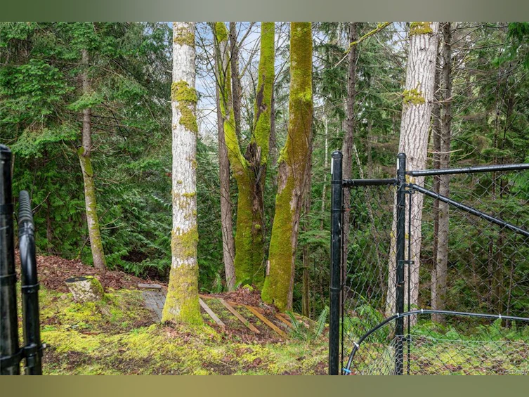 3936 Creekside Drive, Bowser/Deep Bay, BC, V0R 1G0 - 12