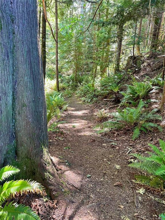 3936 Creekside Drive, Bowser/Deep Bay, BC, V0R 1G0 - 14