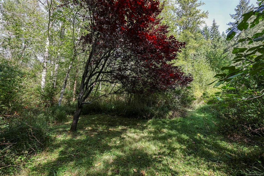 4026 Macaulay Road, Black Creek, BC, V9J 1C8 - 44