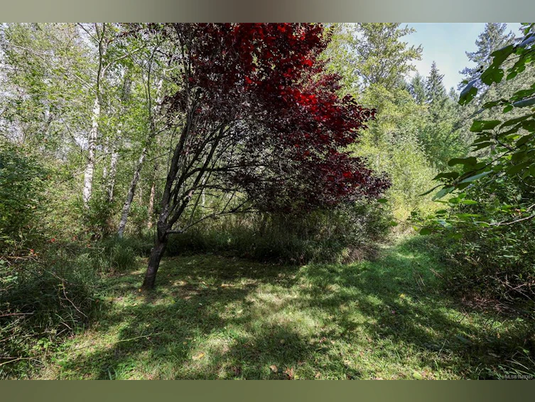 4026 Macaulay Road, Black Creek, BC, V9J 1C8 - 44