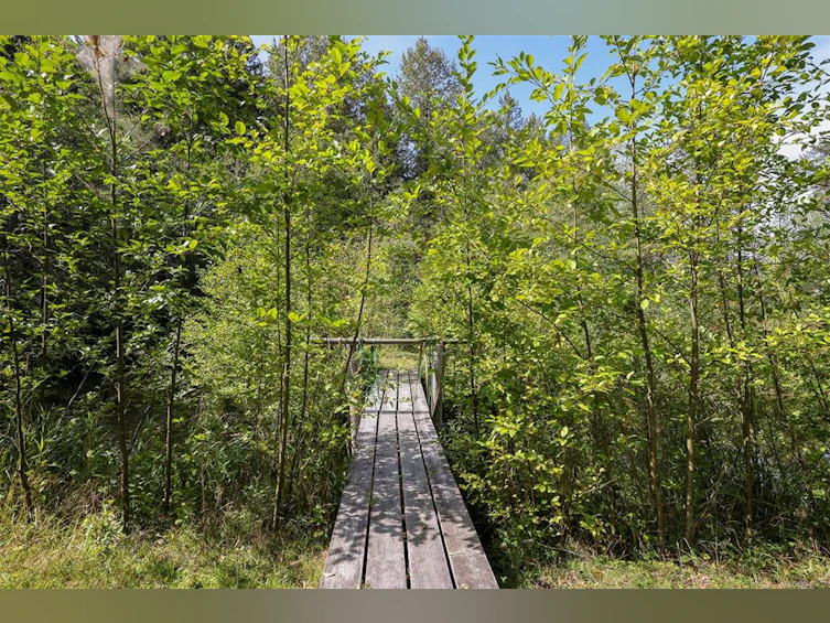 4026 Macaulay Road, Black Creek, BC, V9J 1C8 - 35