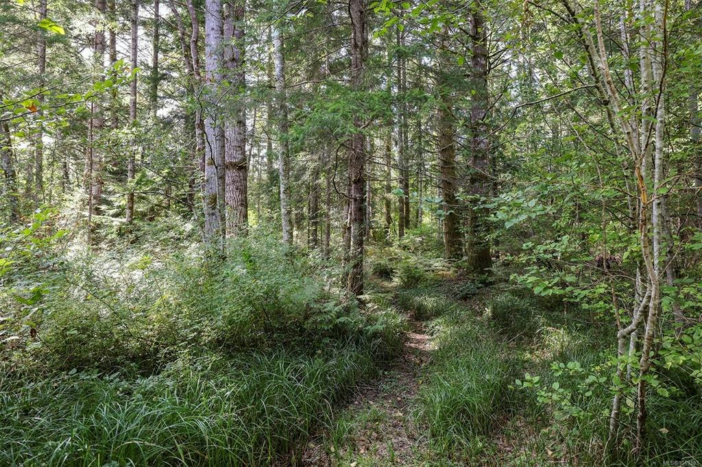 4026 Macaulay Road, Black Creek, BC, V9J 1C8 - 45