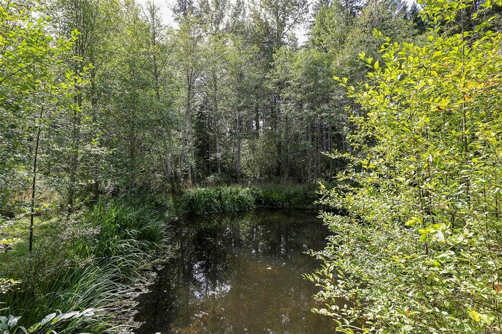 4026 Macaulay Road, Black Creek, BC, V9J 1C8 - 38