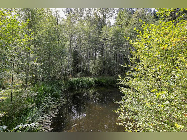 4026 Macaulay Road, Black Creek, BC, V9J 1C8 - 38