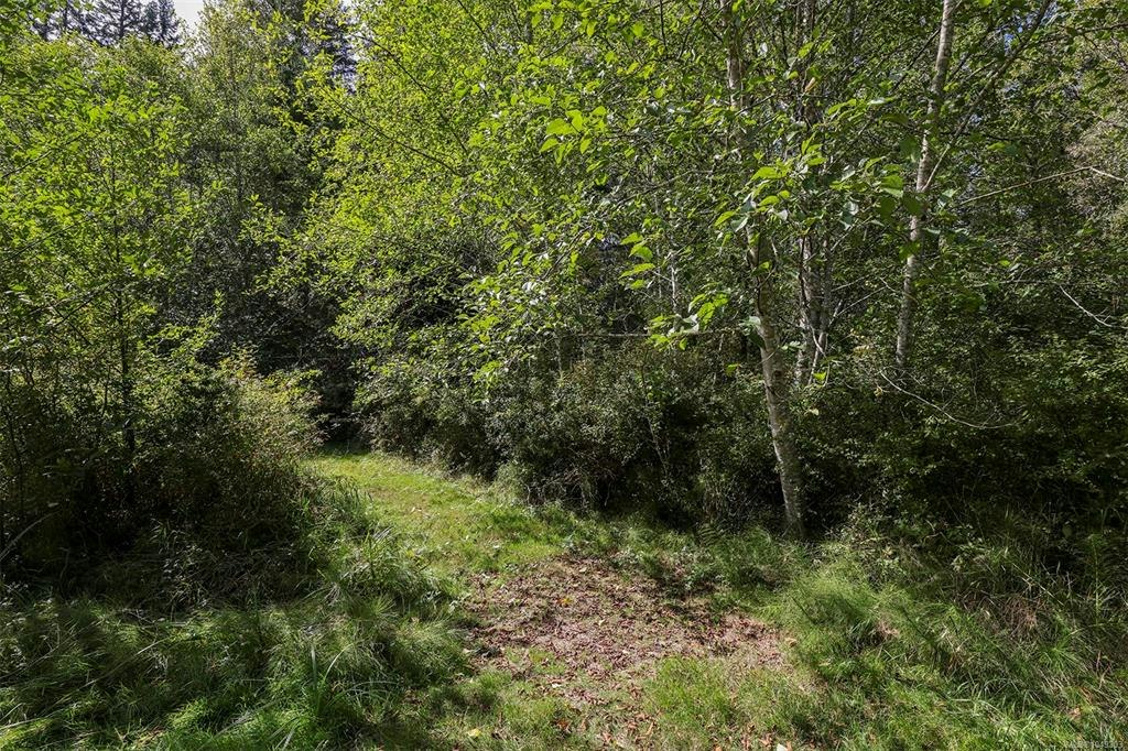 4026 Macaulay Road, Black Creek, BC, V9J 1C8 - 42