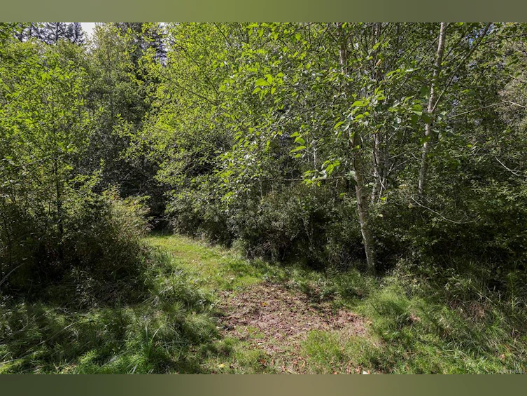 4026 Macaulay Road, Black Creek, BC, V9J 1C8 - 42