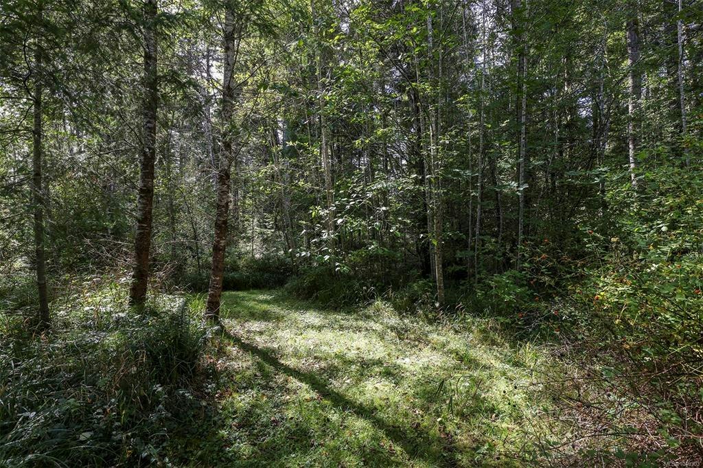 4026 Macaulay Road, Black Creek, BC, V9J 1C8 - 43