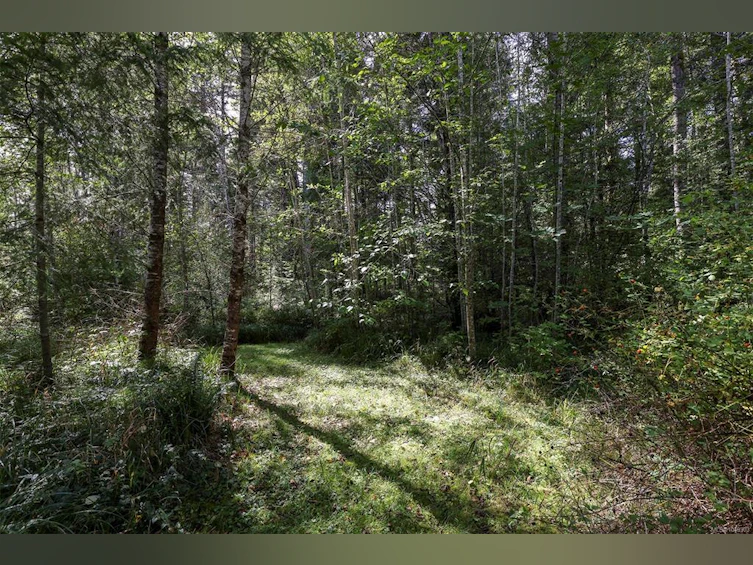 4026 Macaulay Road, Black Creek, BC, V9J 1C8 - 43