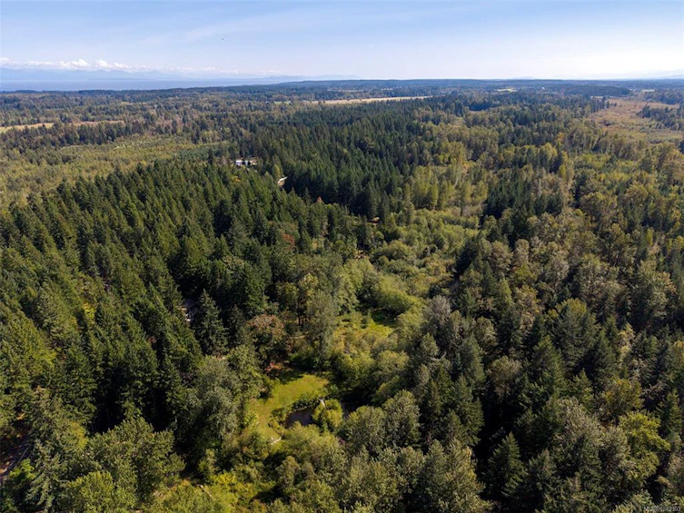4026 Macaulay Road, Black Creek, BC, V9J 1C8 - 19