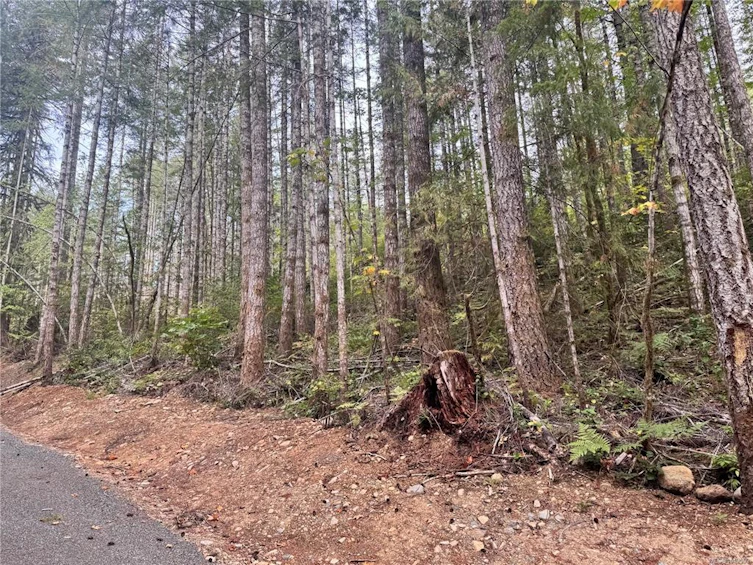 SL 3 Lakeshore Road, Port Alberni, BC, V9Y 9A1 - 8