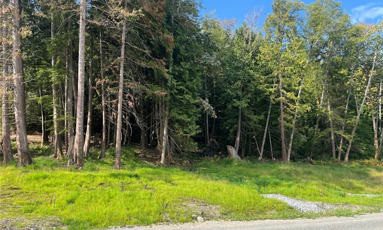 Lot 6 Lodgepole Road