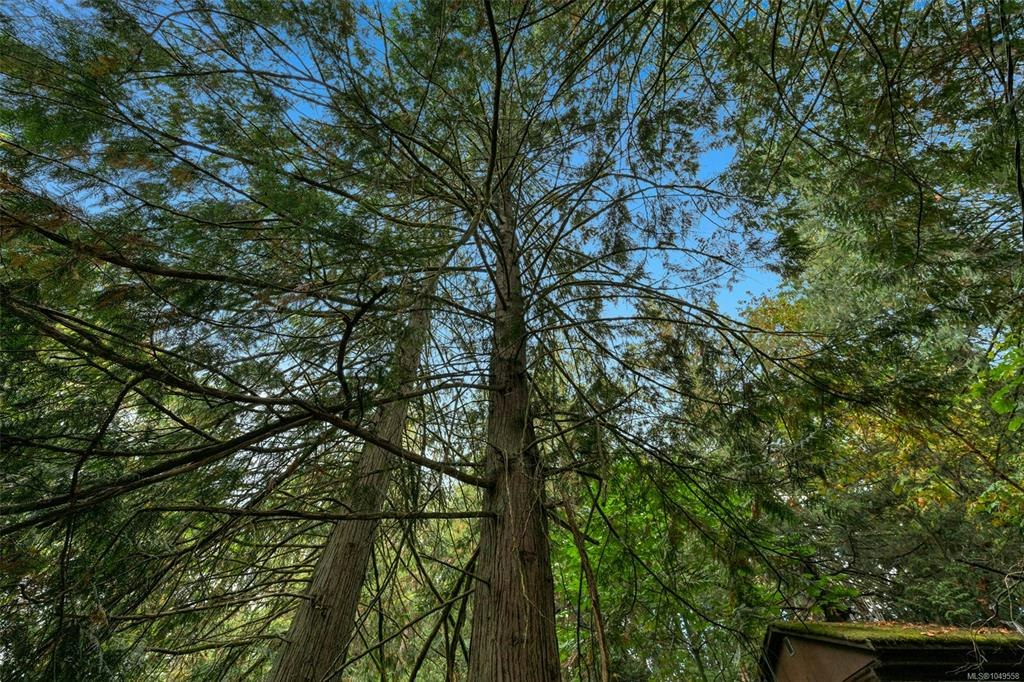 1003 Cedarwood Place, Cobble Hill, BC, V8H 0G8 - 10