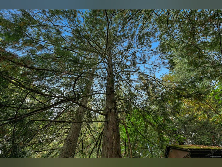 1003 Cedarwood Place, Cobble Hill, BC, V8H 0G8 - 10
