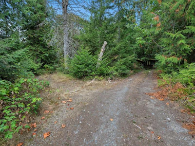 1003 Cedarwood Place - 4