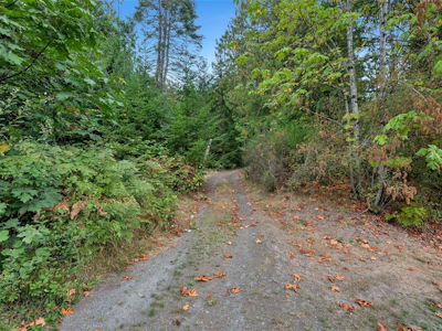 1003 Cedarwood Place - 3