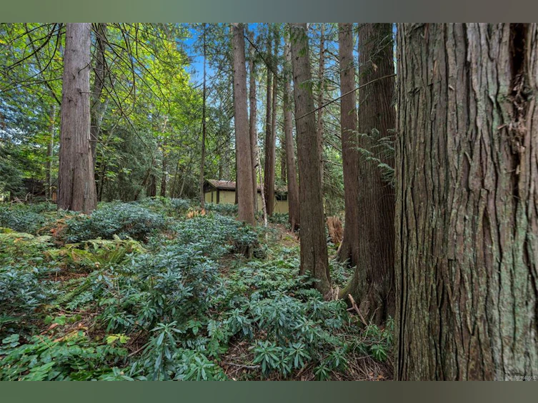 1003 Cedarwood Place, Cobble Hill, BC, V8H 0G8 - 22