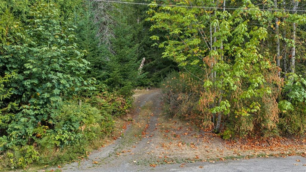 1003 Cedarwood Place - 2