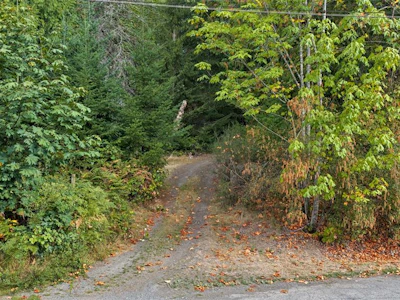 1003 Cedarwood Place - 2