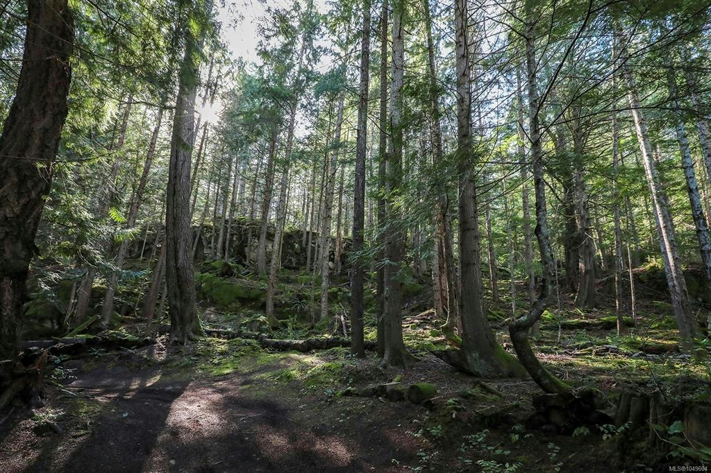 651 Gorge Harbour, Cortes Island, BC, V0P 1Z0 - 39